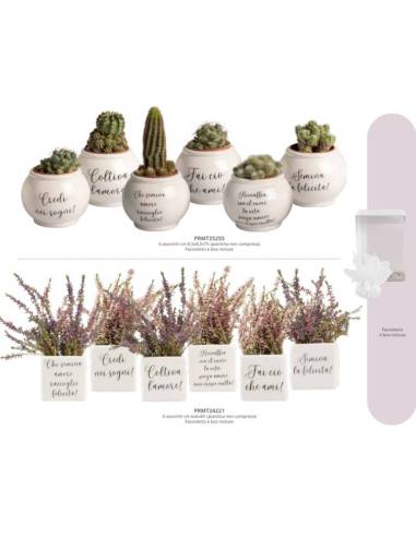 Harmony bomboniere vasi porta piante assortiti in ceramica con frasi