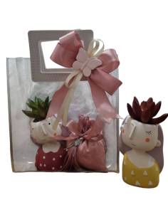 Piantine grasse bomboniere complete