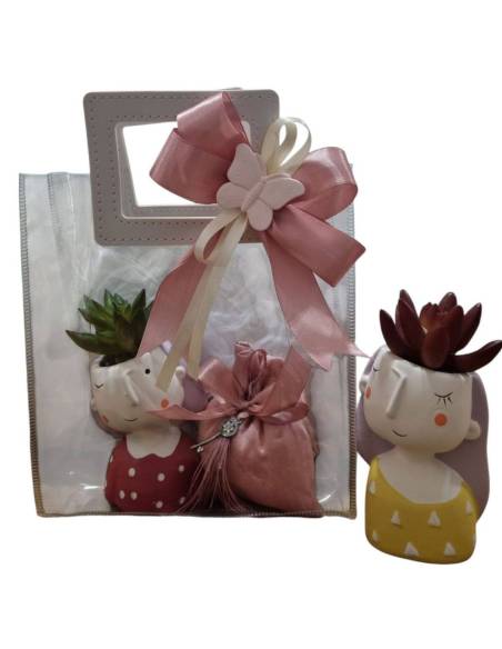 Piantine grasse bomboniere complete