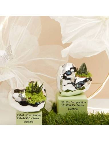 Claraluna bomboniere originali vasi cuori portapiante argentati