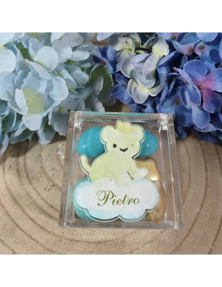 Scatole portaconfetti safari in plexiglass tema giungla personalizzate | Sindy Bomboniere