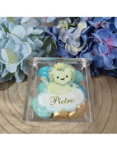 Scatole portaconfetti safari in plexiglass tema giungla personalizzate | Sindy Bomboniere