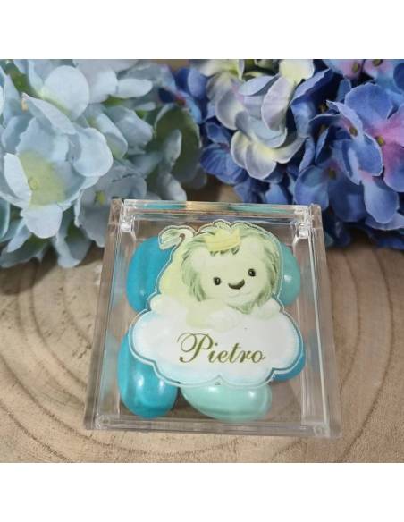 Scatole portaconfetti safari in plexiglass tema giungla personalizzate | Sindy Bomboniere