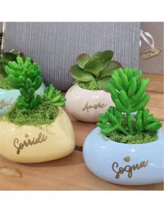 Portapianta vasetti cuore bomboniere brilla, sogna, amore