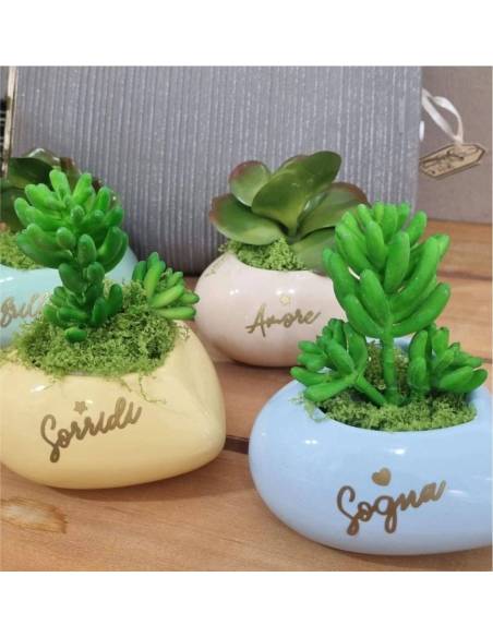 Portapianta vasetti cuore bomboniere brilla, sogna, amore