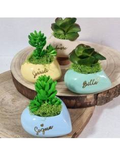 Portapianta vasetti cuore bomboniere brilla, sogna, amore 2