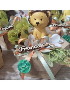 Bomboniere personalizzate Savana scatola degustazione confetti