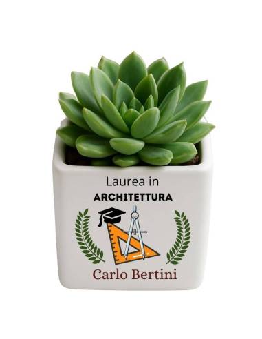 Bomboniere laurea Architettura vasetti portapianta in ceramica