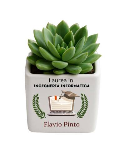 Bomboniere laurea ingegneria informatica vasetti portapianta in ceramica