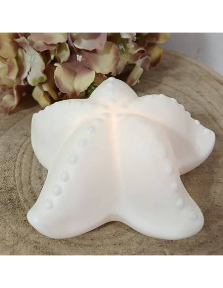 Bomboniere tema mare stella marina luce led