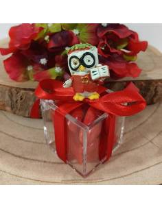 Bomboniere Laurea scatola portaconfetti in plexiglass gufetto laureando