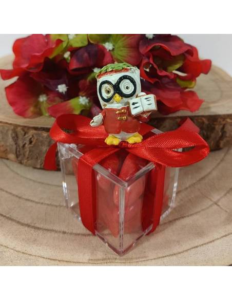 Bomboniere Laurea scatola portaconfetti in plexiglass gufetto laureando