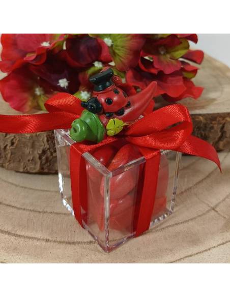 Scatole portaconfetti bomboniere Laurea corno coccinella portafortuna