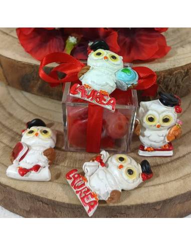 Bomboniere portaconfetti Laurea scatole in plexiglass magneti gufetti misti | Sindy Bomboniere