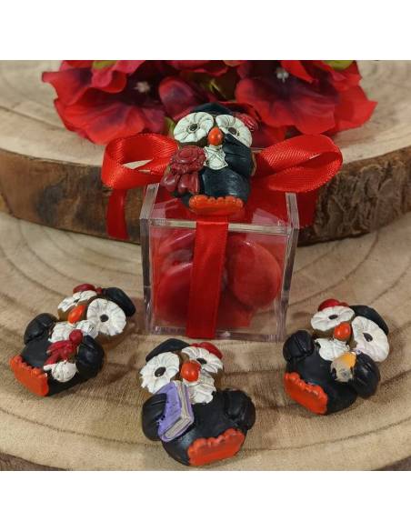 Portaconfetti Laurea scatole in plexiglass gufetti laureandi misti