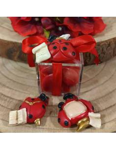 Portaconfetti bomboniere Laurea calamite coccinelle portafortuna miste