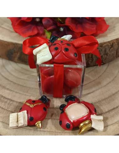 Portaconfetti bomboniere Laurea calamite coccinelle portafortuna miste