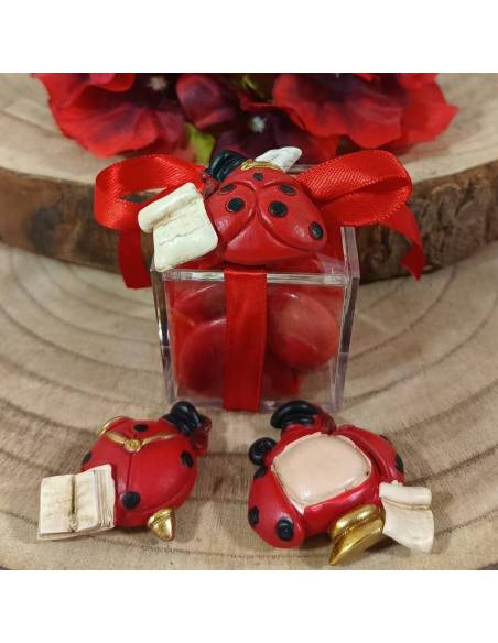 Portaconfetti bomboniere Laurea calamite coccinelle portafortuna miste