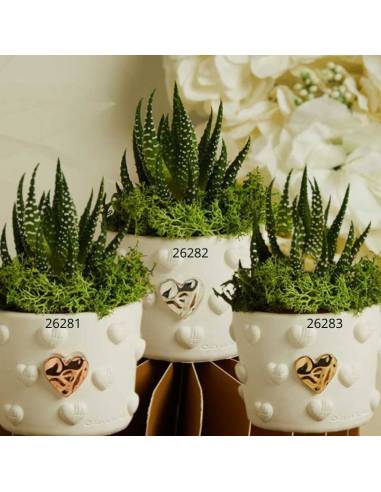 Bomboniere Claraluna Vasetti portapiante in ceramica applicazioni cuori