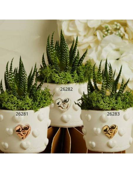 Bomboniere Claraluna Vasetti portapiante in ceramica applicazioni cuori