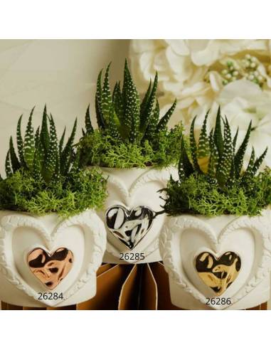 Bomboniere Claraluna vasi portapiante in ceramica bianca con cuori