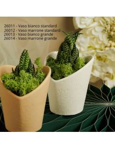 Bomboniere Claraluna vasi cuori portapiante con pianta grassa