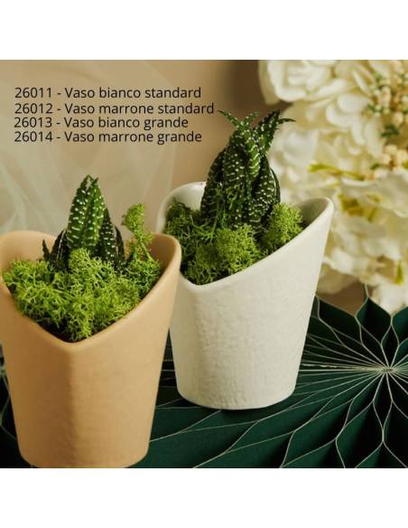 Bomboniere Claraluna vasi cuori portapiante con pianta grassa