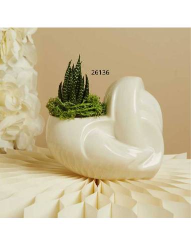 Bomboniere Claraluna piante grasse vasi cuori in porcellana bianca
