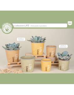 Bomboniere portapiante vasi in porcellana con scritte