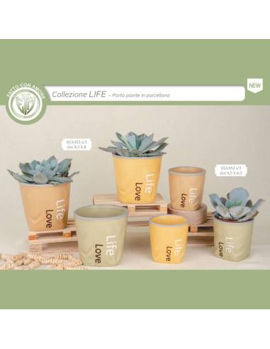 Bomboniere portapiante vasi in porcellana con scritte