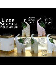 Marechiaro bomboniere utili vasi portapiante elefanti Linea Seanna