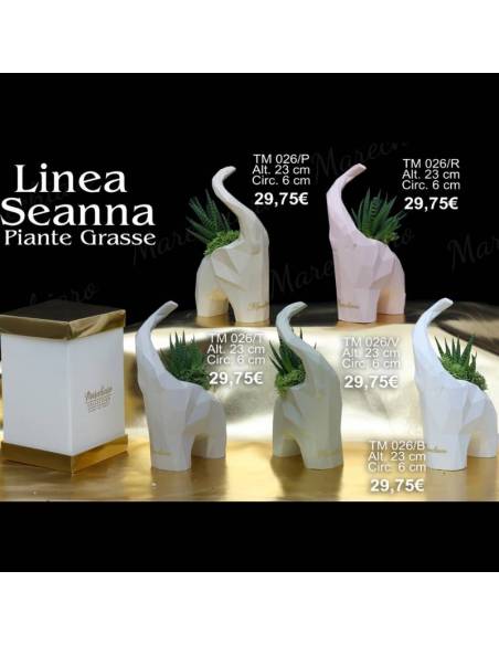 Marechiaro bomboniere utili vasi portapiante elefanti Linea Seanna