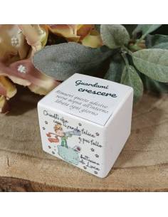 Bomboniere utili personalizzate per Battesimo vasetto con semi Piccolo Principe