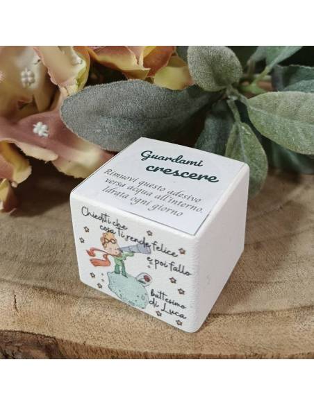 Bomboniere utili personalizzate per Battesimo vasetto con semi Piccolo Principe